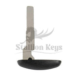 Ford Emergency Key