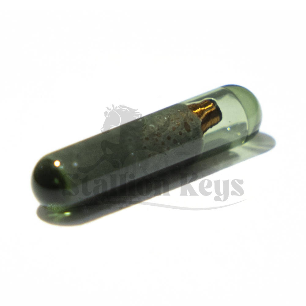 Texas TI - Megamos 48 VW CAN OEM Original Chip for Volkswagen Glass Type
