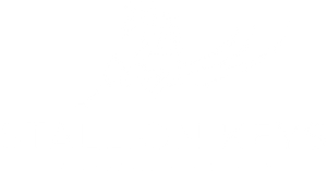 Logo of Stallion Keys Wholesale Key Supply with a white horse on a black background